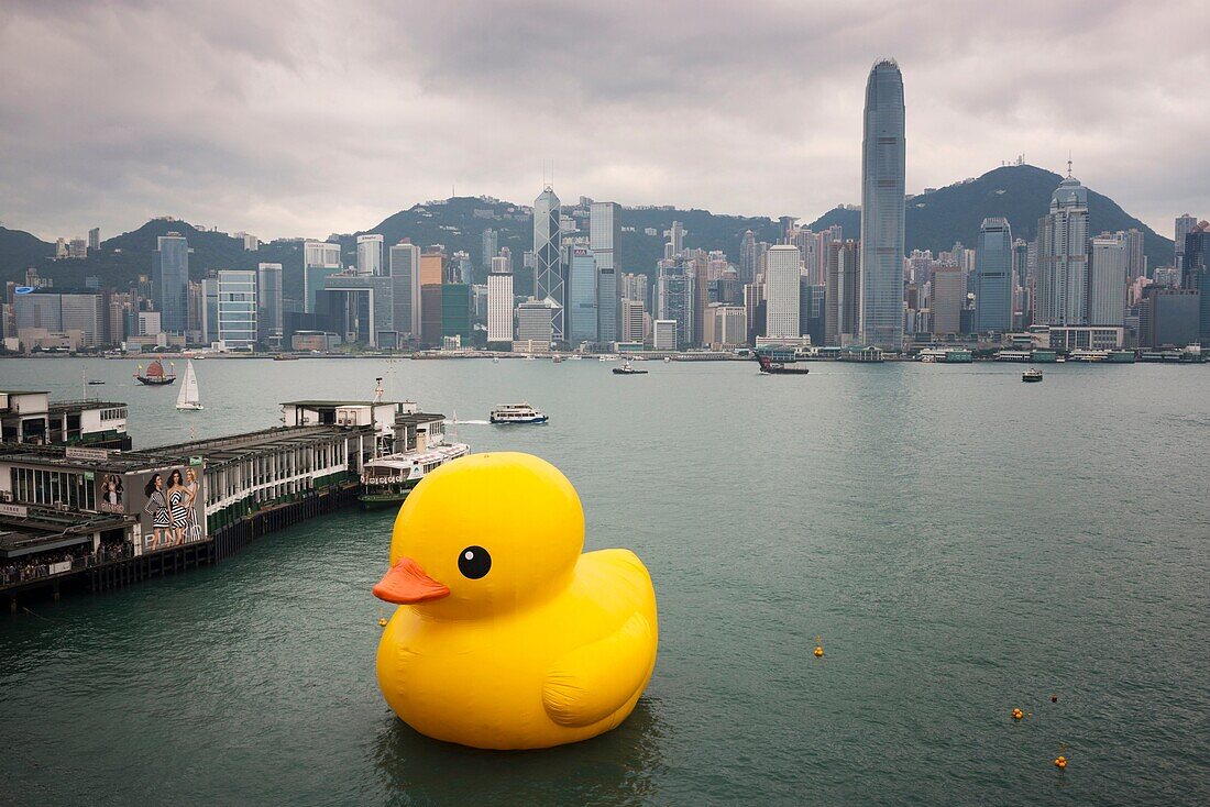 Dutch artist Florentijn Hofman created the bright yellow duck. The duck has been transported around the world since 2007, bringing a message of peace and harmony. It has previously been to Osaka, Japan, Sydney, Sao Paulo, Auckland, New Zealand, and Amster