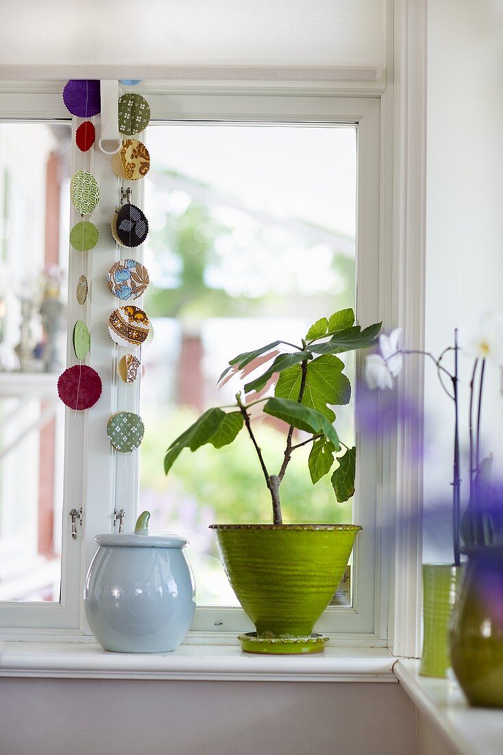 A plant in a green pot and a ceramic jar on a window sill