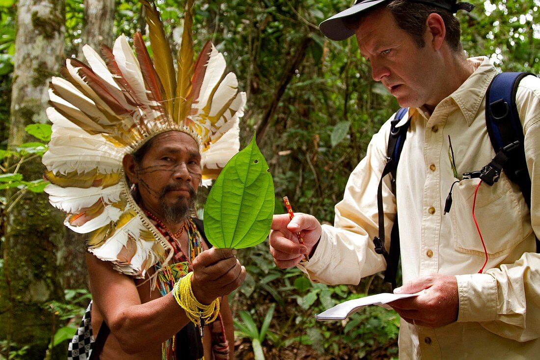 Shaman and naturopath. Alto Jurua. Croa, Brazil.