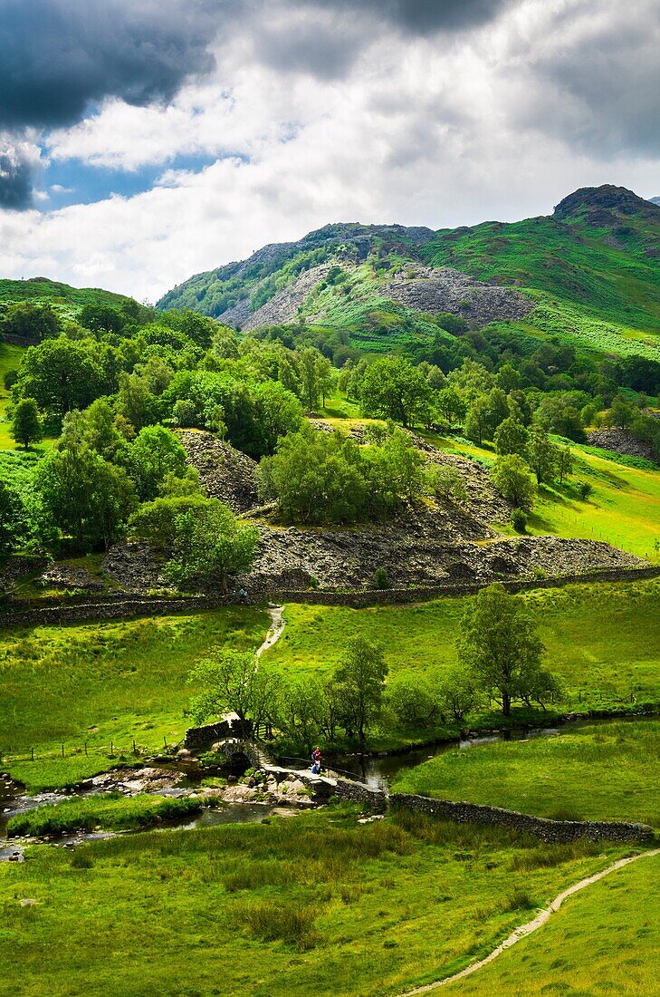 The River Brathay and Great Intake near Little Langdale in the Lake District, Cumbria, England.