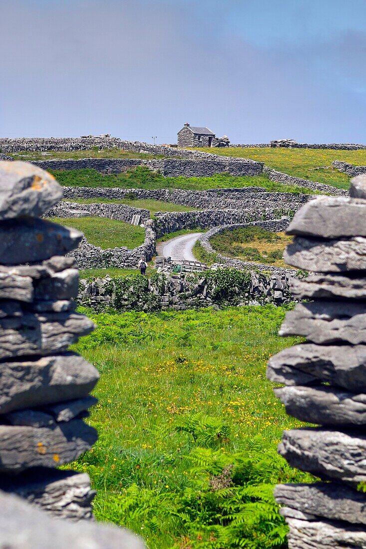 Inis Oirr, Arran Islands, County Galway, Ireland.