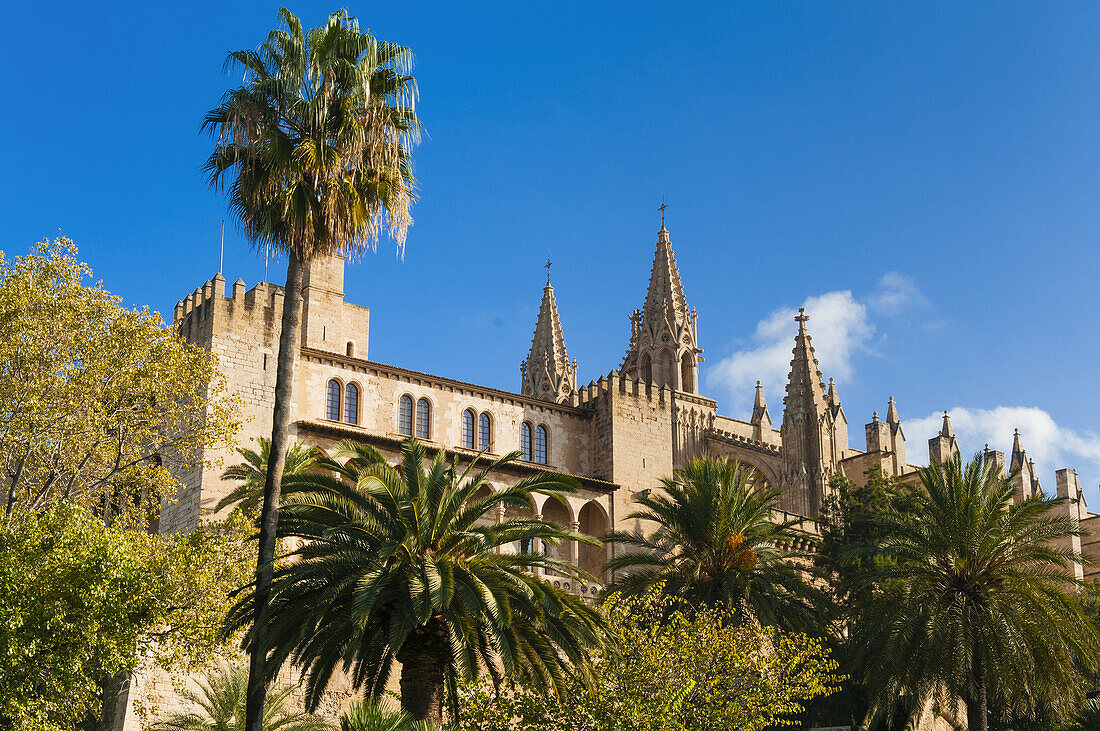 Royal Palace of La Almudaina and Cathedral of Santa Maria of Palma, more commonly referred to as La Seu, Palma de Mallorca, Majorca, Balearic Islands, Spain.