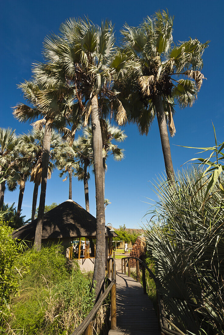 Palmwag Lodge, Damaraland, Kunene Region, Namibia, Africa.