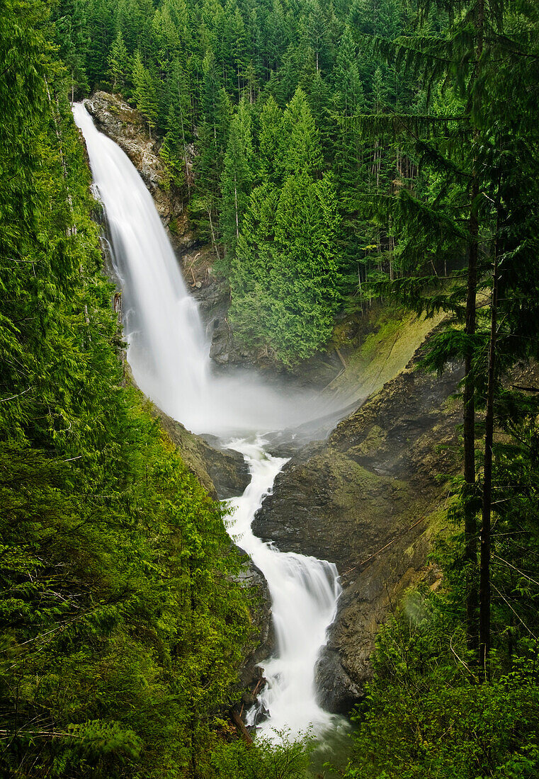 Washington, Cascade Mountains, Wallace Falls State Park, Wallace Falls Surrounded By Lush Forest.