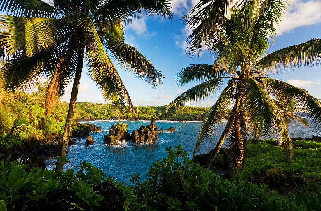Hawaii, Maui, Hana Coastline, Waianapanapa State Park, Overlooking Ocean.