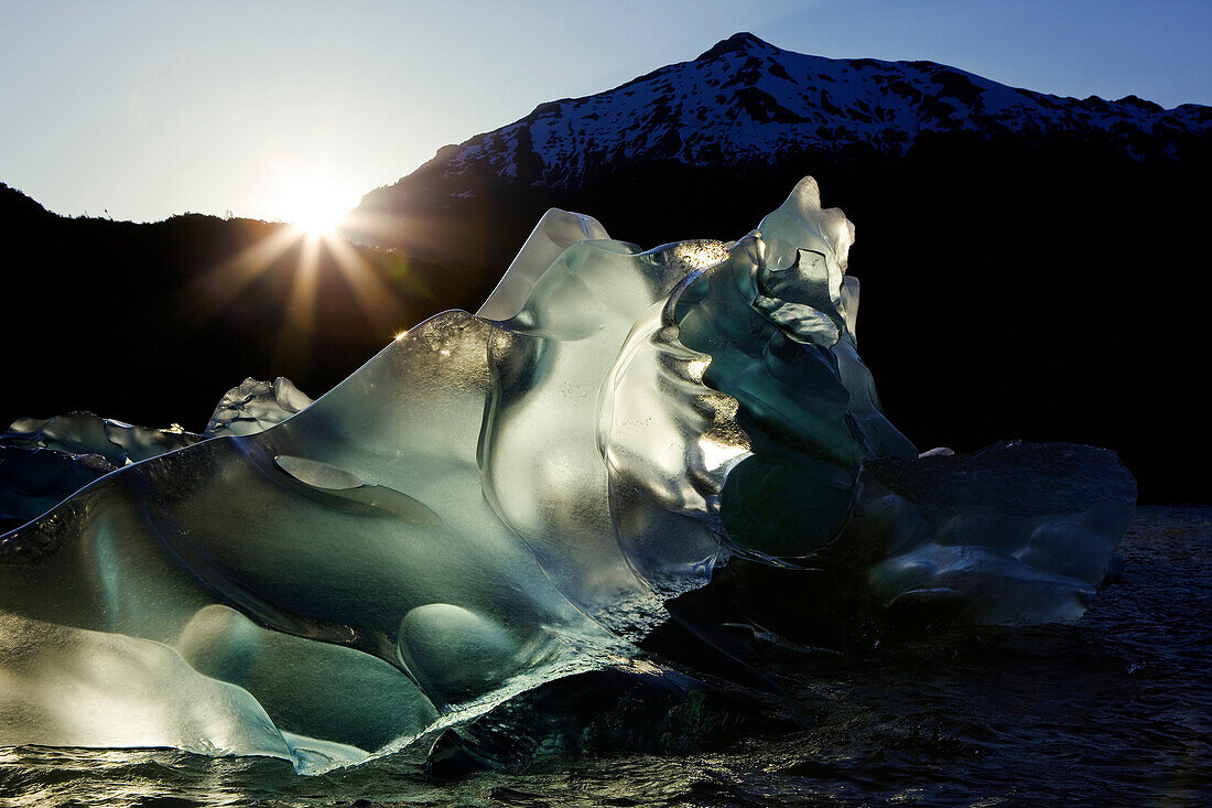 Tongass Forest, Alaska, Recently Calved From The Terminus Of Mendenhall Glacier In Mendenhall Lake, An Iceberg Transmits The Light From The Setting Sun.