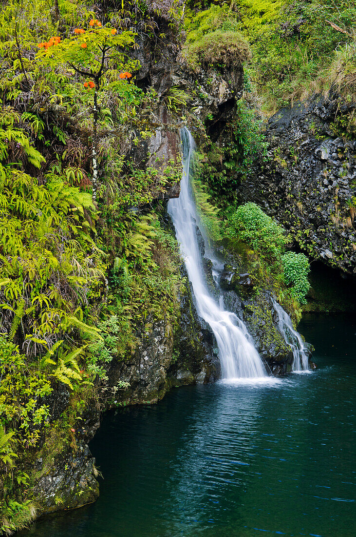 Hawaii, Maui, Hana Coast, Hanawi Falls, View Of Waterfall Flowing Into Pool Of Water.