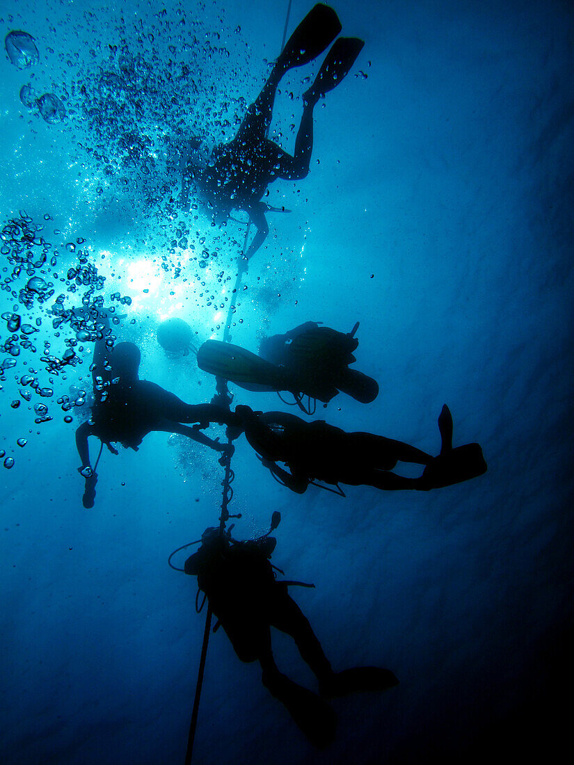 Hawaii, Big Island, Kohala Coast, Scuba Divers On Line.