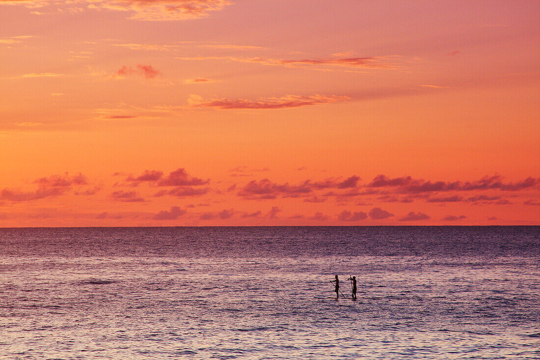 Hawaii, Oahu, North Shore, Stand Up Paddling At Sunset.