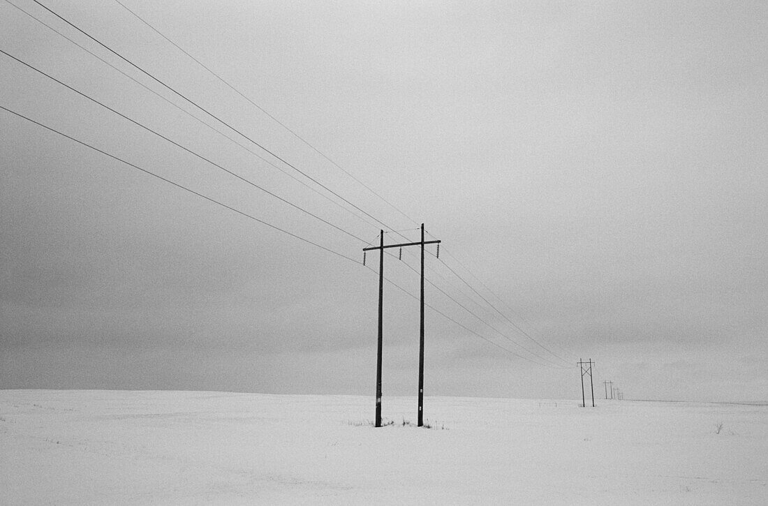 Powerlines Near Goderich, Ontario, B/W