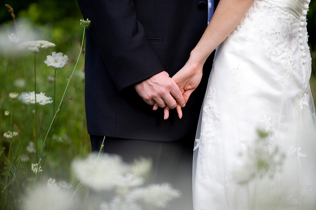 Wedding Couple Holding Hands In Field Of Wild Flowers