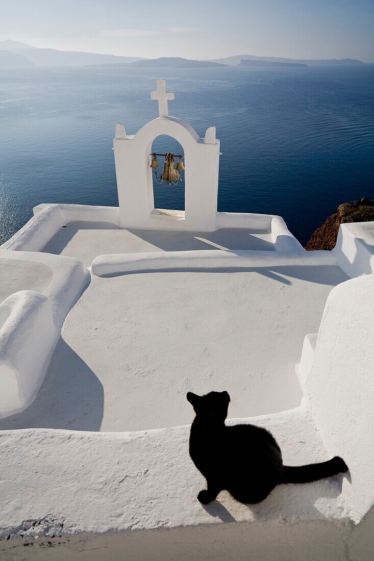 View Of A Cat On A Wall In The Village Of Oia Perched On Steep Cliffs Overlooking The Submerged Caldera, Santorini, Greece