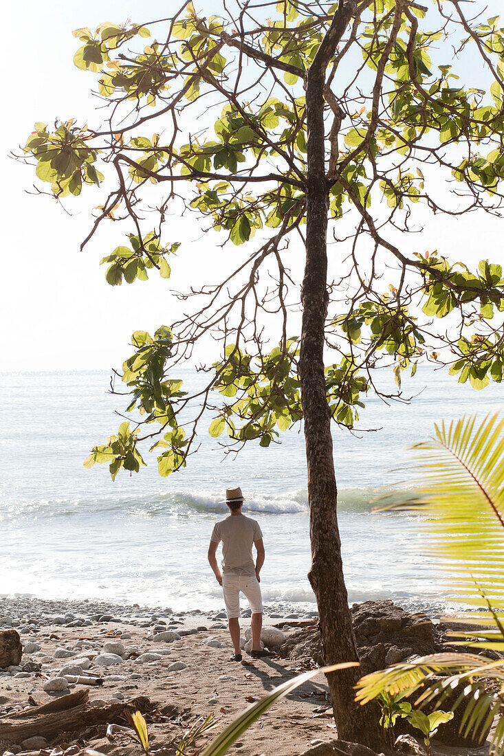 'Man Stands Under A Tree Watching The Surf; Matapalo, Costa Rica'