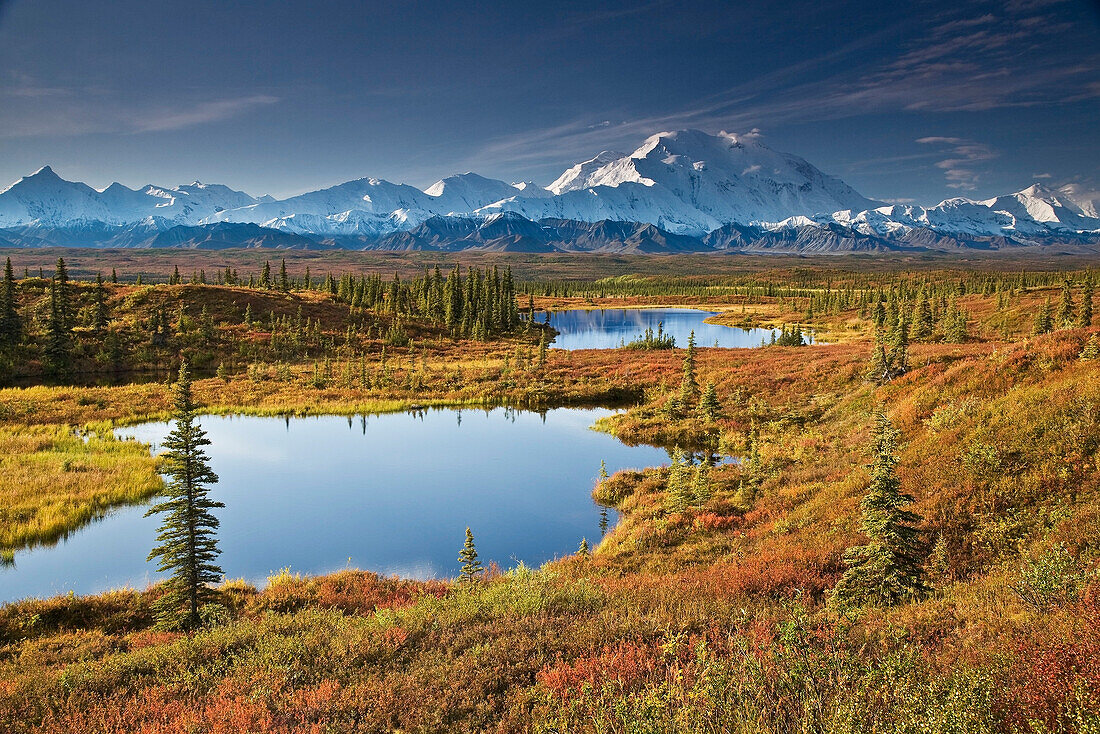 Scenic View Of Tundra Ponds And Fall Colors With Mt. Mckinley In The Background, Denali National Park, Alaska