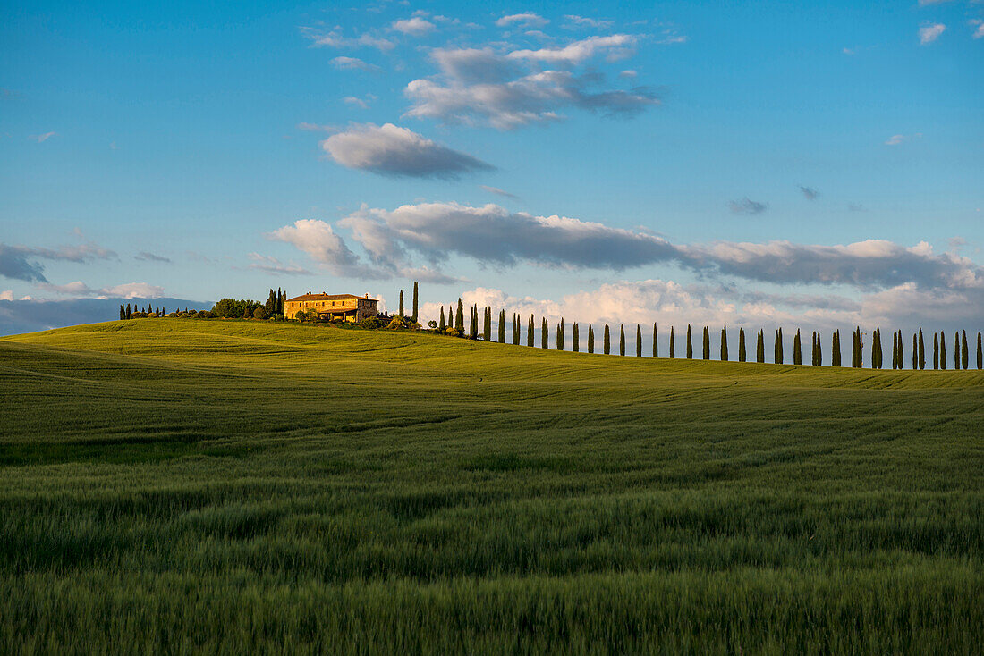 landscape near San Quirico d`Orcia, Val d`Orcia, province of Siena, Tuscany, Italy, UNESCO World Heritage