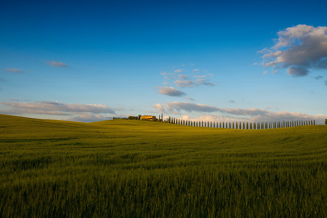 landscape near San Quirico d`Orcia, Val d`Orcia, province of Siena, Tuscany, Italy, UNESCO World Heritage