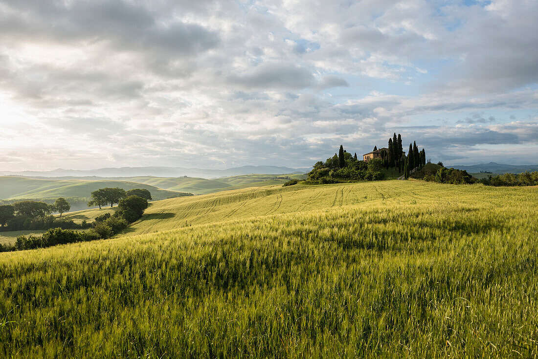 Landschaft bei San Quirico d'Orcia, Val d'Orcia, Provinz Siena, Toskana, Italien, UNESCO Welterbe