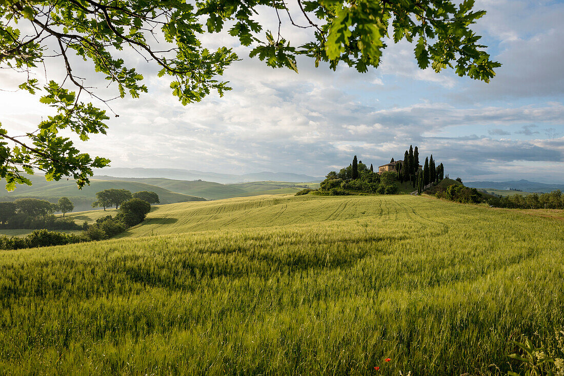 Landschaft bei San Quirico d'Orcia, Val d'Orcia, Provinz Siena, Toskana, Italien, UNESCO Welterbe