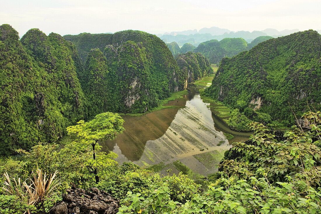 beautiful limestone karst mountains in Ninh Binh, Vietnam.