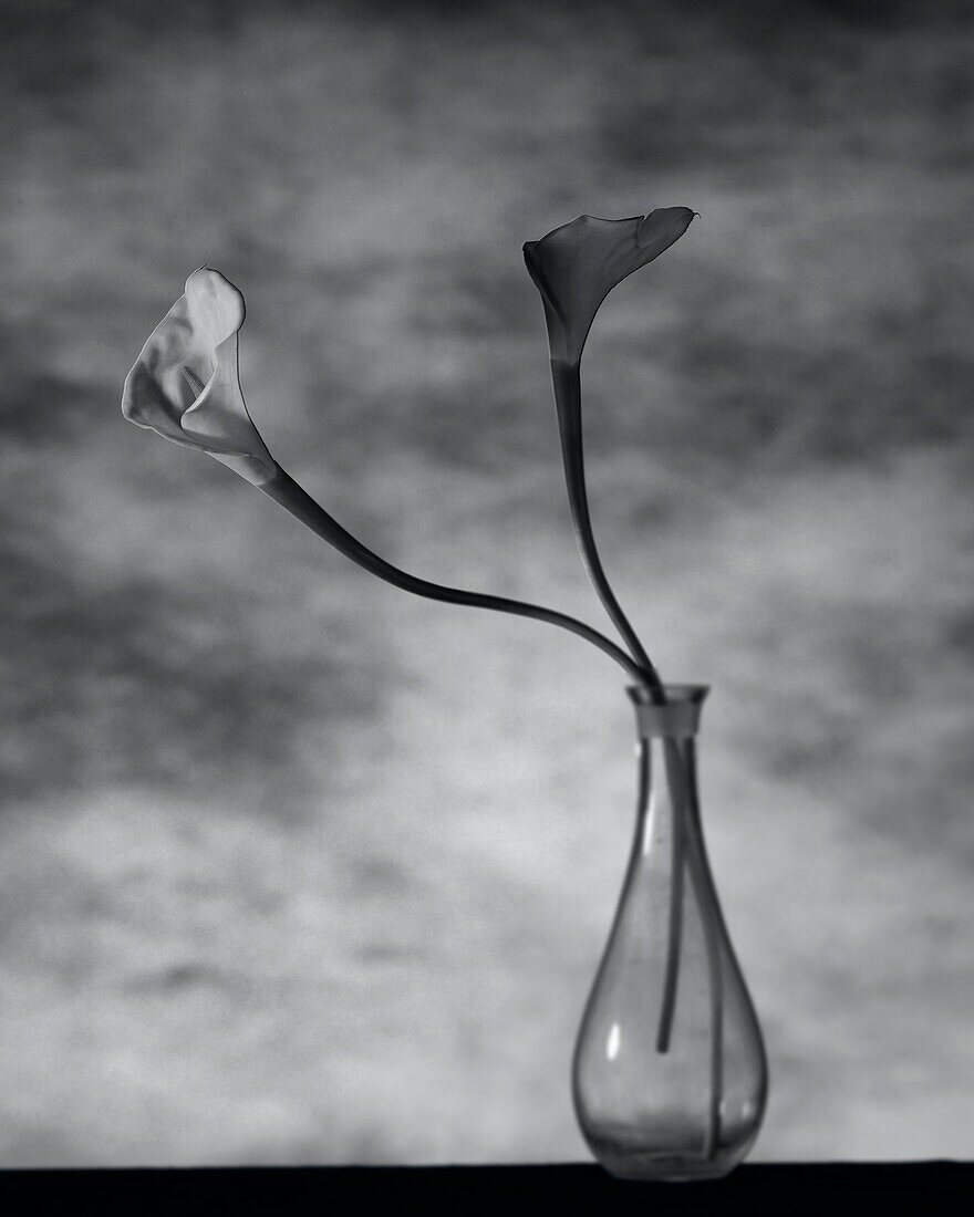 Still life of flowers, ikebana