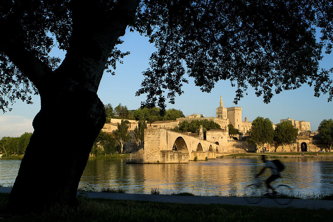 View of Pont d'Avignon (or Pont St Benezet) and Rhone river towards the Papes Palace in the early evening, Avignon city, in Provenza-Alpes-Cotes d'Azur region, France.
