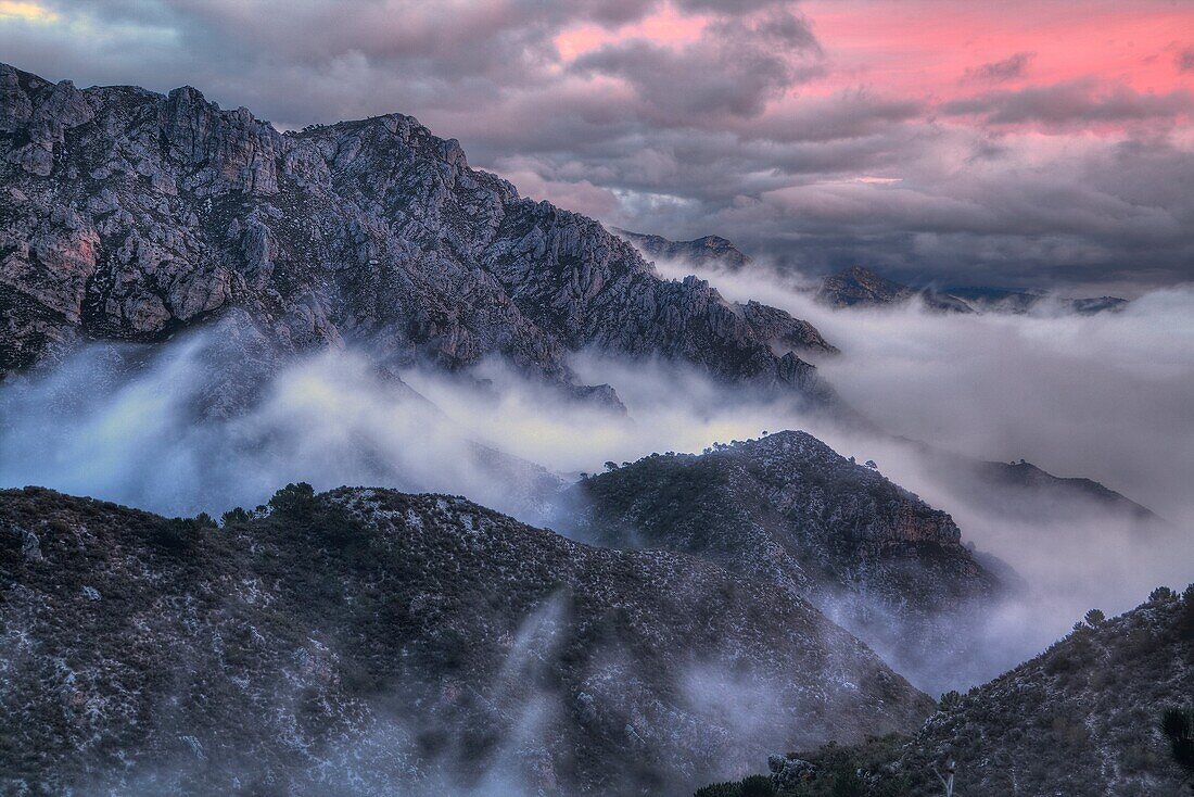 Parque Natural de las Sierras de Tejeda y Almijara, Andalusia, Spain.