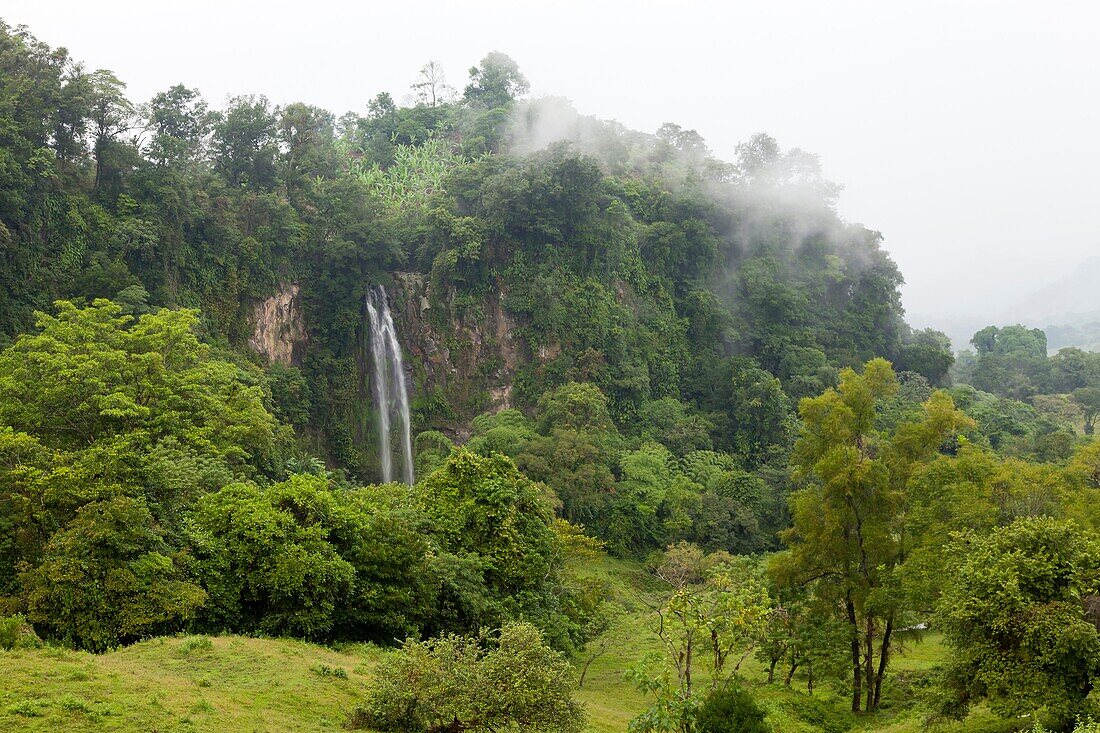 A Waterfall view near Filobobos River, Veracruz, Mexico.