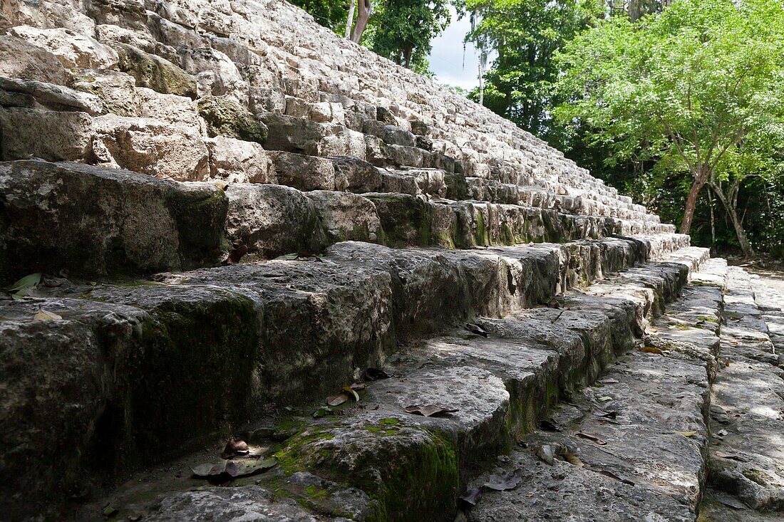 Cobá: Mayan Archeological Ruins at Yucatan Peninsula.