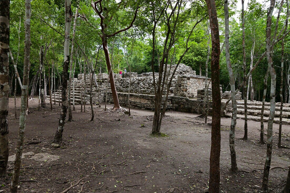 Cobá: Mayan Archeological Ruins at Yucatan Peninsula.