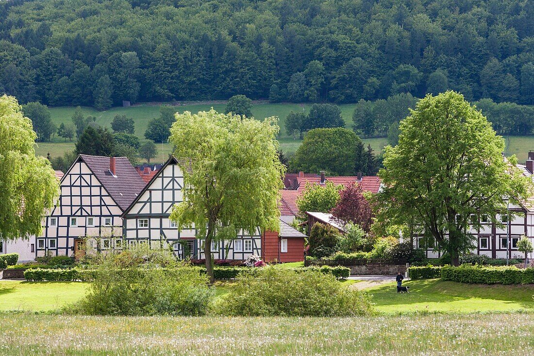 Timbered houses in Vaake, Hesse, Germany, Europe