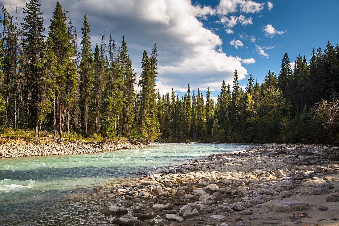 Meeting of the waters, Athabasca River, Jasper National Park, Alberta, Canada