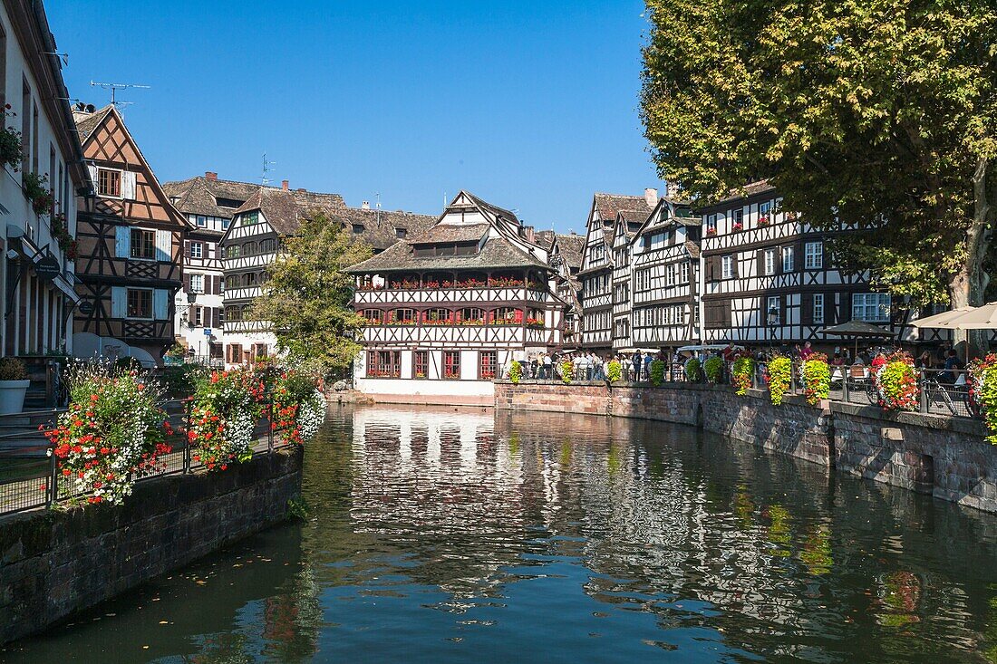 Timbered houses and canal in the quarter Petite France, Strasbourg, Alsace, France, Europe