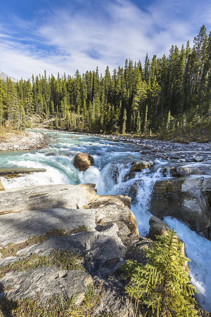 Sunwapta Falls and forest in the Jasper National Park, Alberta, Canada