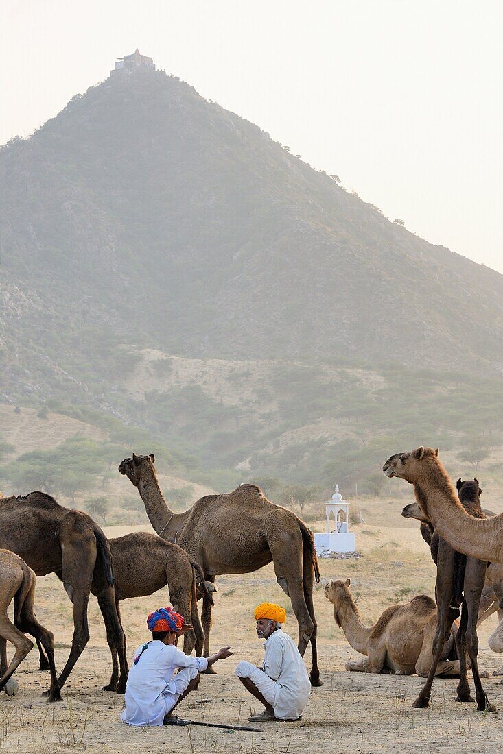 India, Rajasthan, Pushkar camel fair.