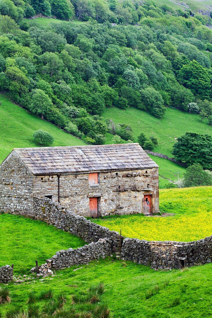 Barn with Red Doors near Angram in Swaledale Yorkshire Dales England.