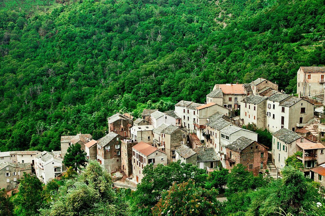 Village in the zone of Le Nebbio, Corsica.