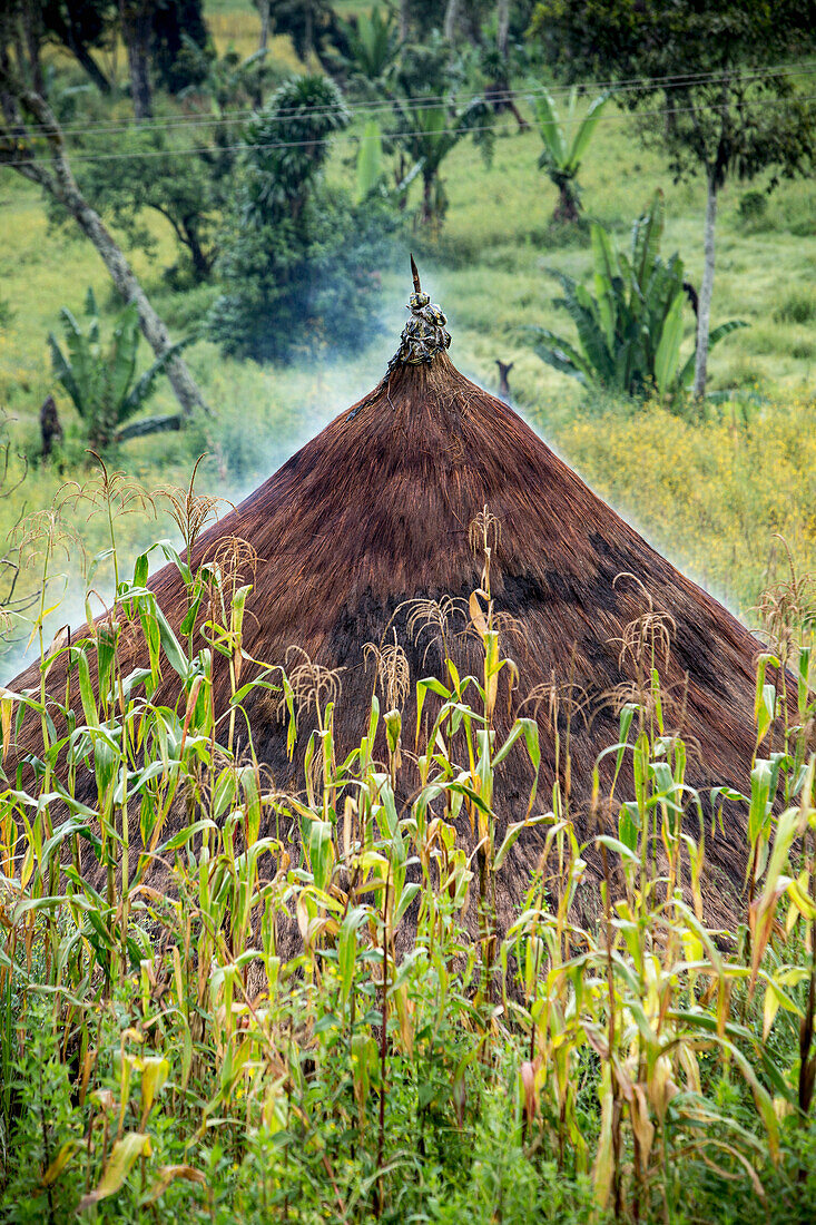 'Straw roofed hut; Ethiopia'
