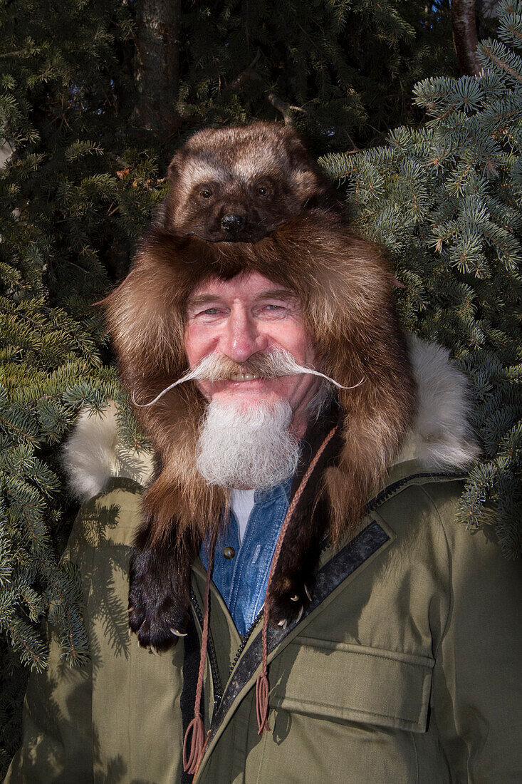 David Doering of Anchorage. Friend of photographers. Model released. Spring, 2013. Posing in a fur hat with the wolverine's head showing. Has good beard and long moustache. Anchorage, Alaska.