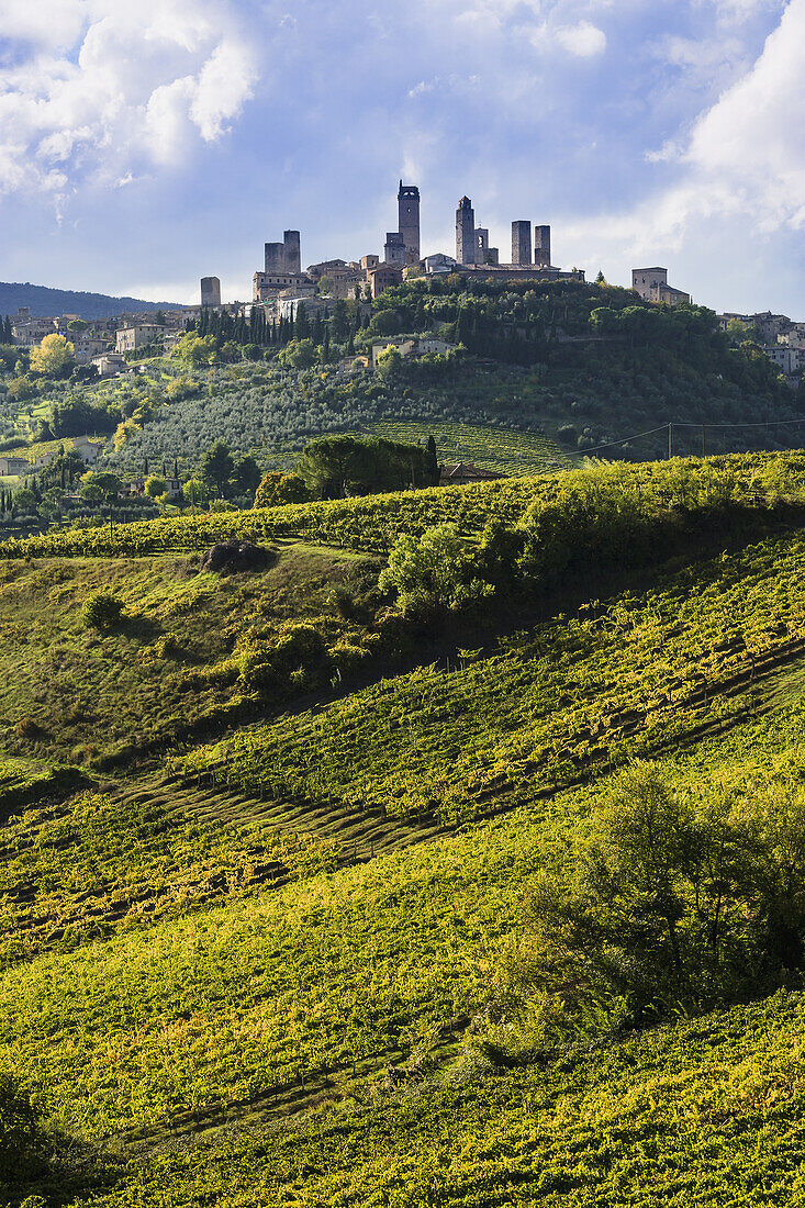 'Buildings on a hilltop surrounded by farmland; San Gimignano, Tuscany, Italy'