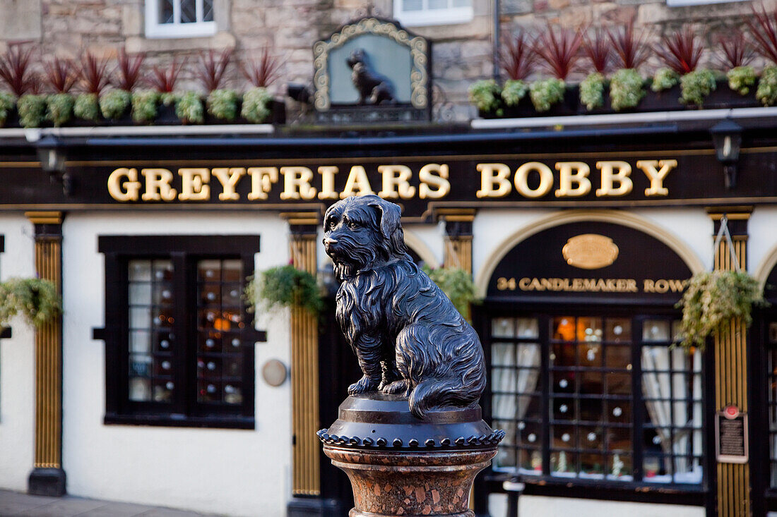 'Dog statue of Greyfriars Bobby in front of a bar; Edinburgh, Scotland'
