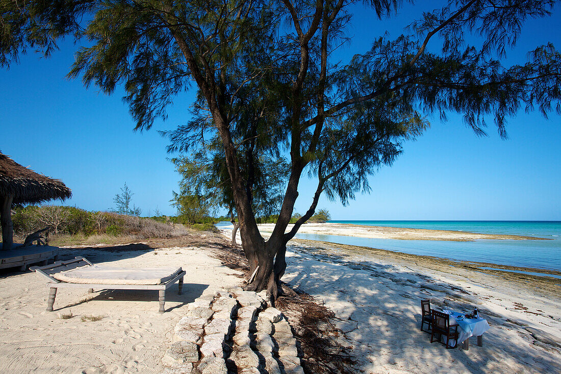 'A table set for a meal on the beach in the shade of a tree; Vamizi Island, Mozambique'