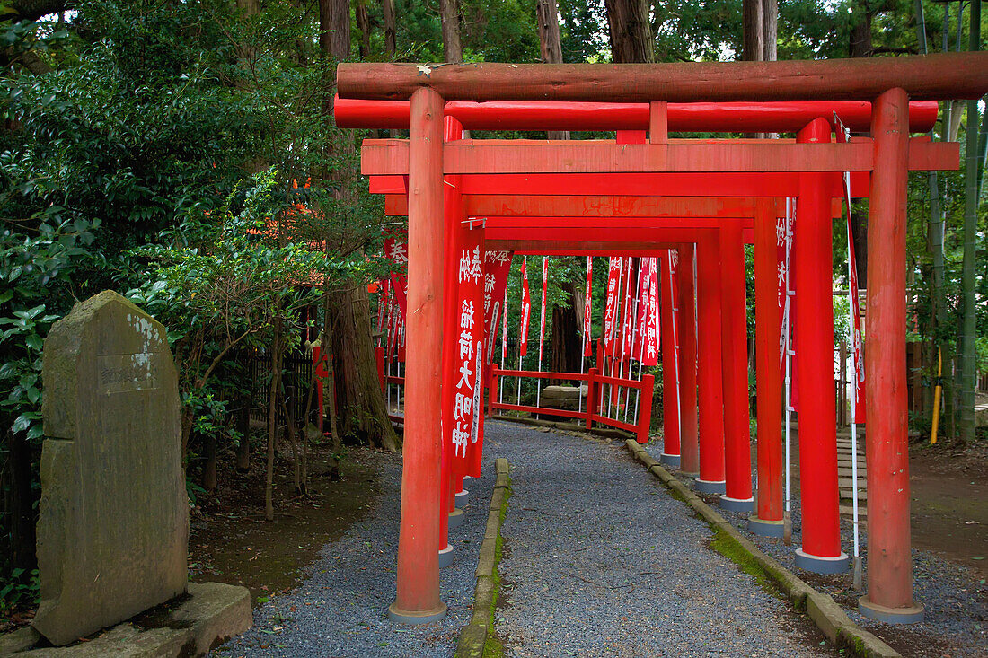 'Red pergola with rd posts lining a path; Japan'