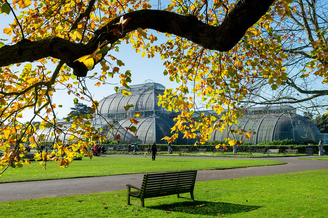 'Palm House, Kew Gardens; London, England'