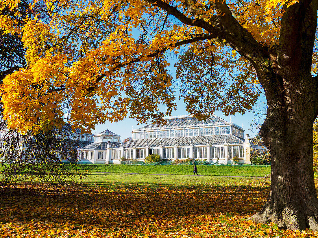 'Kew Gardens Temperate House; London, England'