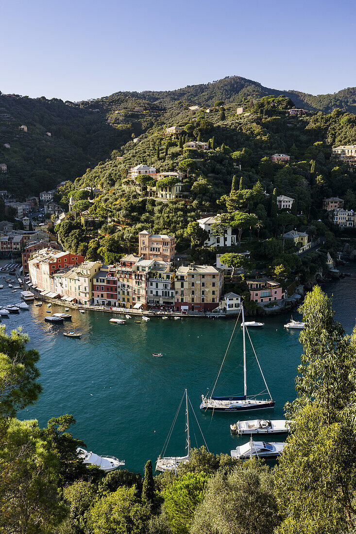 'View of the harbour and buildings along the coast; Portofino, Liguria, Italy'