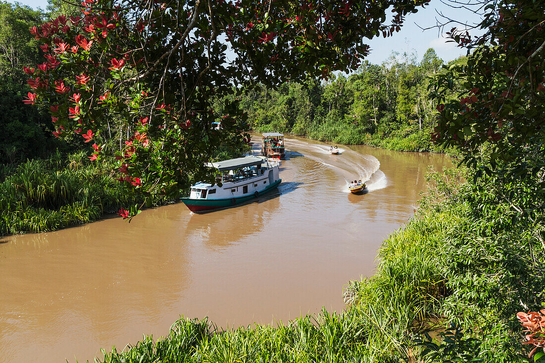 Klotok river boat on the Sekonyer River, Tanjung Puting National Park, Central Kalimantan, Borneo, Indonesia