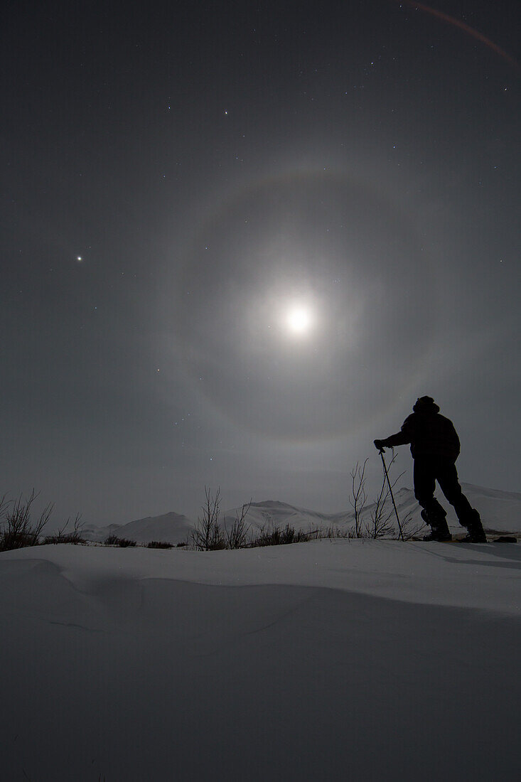 'Man snowshoeing along the Dempster Highway under a moon glowing with rings; Yukon, Canada'