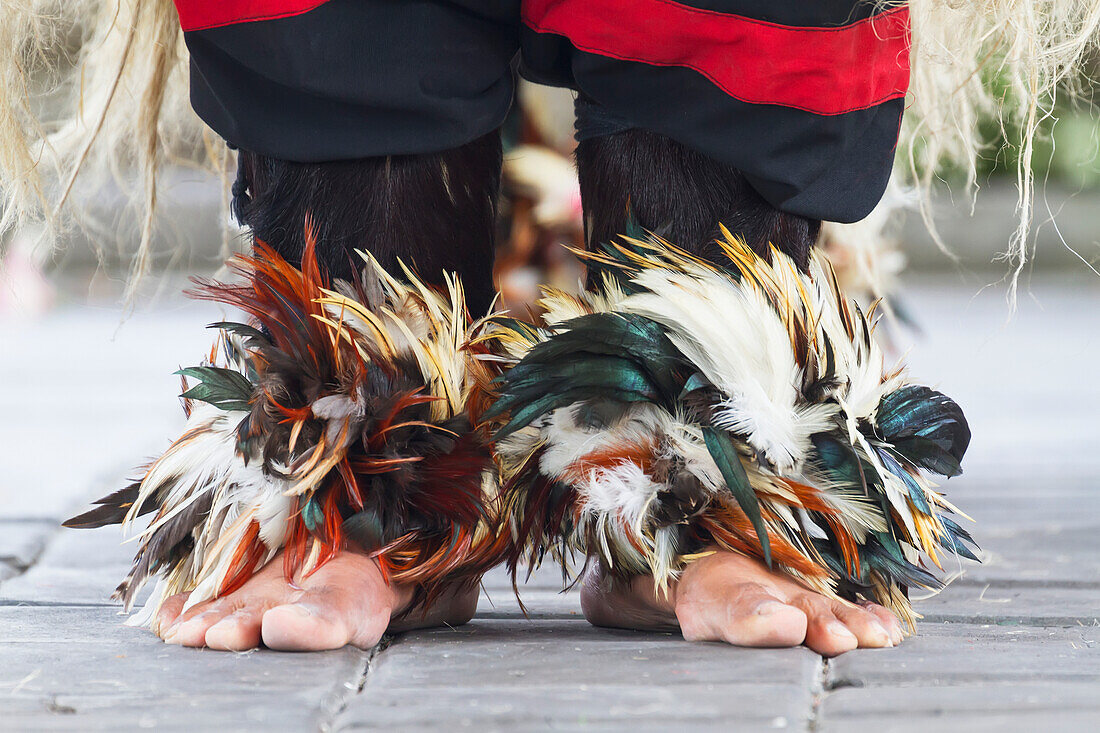 Feet of a performer under the costume of Barong, a mythical lion-like creature in a Barong dance performance in Batubulan, Bali, Indonesia
