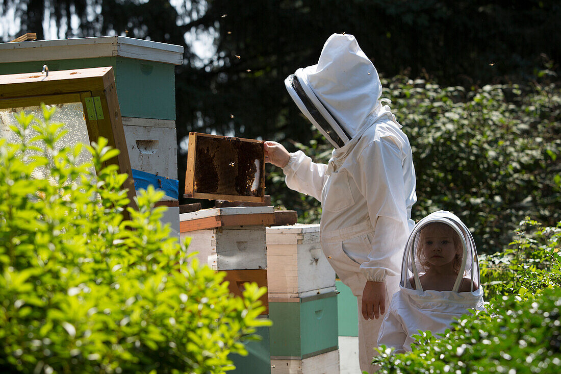 Mother and daughter beekeepers in beekeeping suits checking beehives
