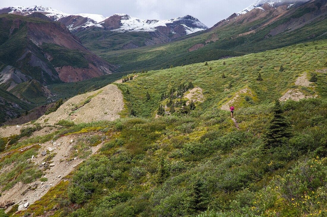 A woman takes a trail run in Kluane National Park, Yukon Territory, Canada.